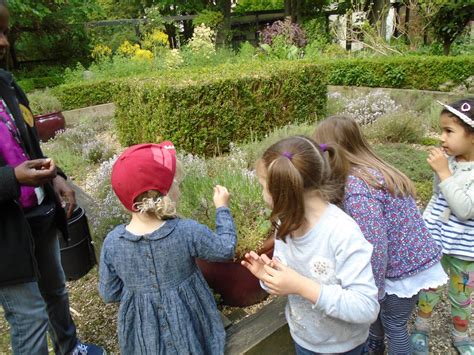 Flowers name list flower names may flowers wild flowers beautiful flowers evergreen shrubs trees and shrubs flowers. The Federation of Church Hill and Low Hall Nursery Schools ...