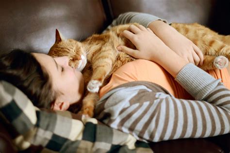 Rindunya kenangan dok mentido tak sedar diri dengan budak sidah. 3 Sebab Anda Tak Boleh Tidur Dengan Kucing