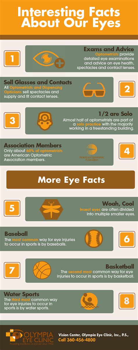 Interesting Facts About Our Eyes Shared Info Graphics