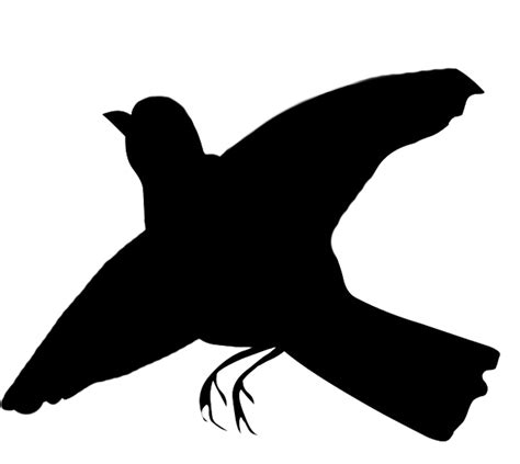 Printable Bird Silhouettes Clipart Best