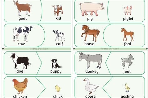 Free Farm Animals And Their Young Match Game Early Years
