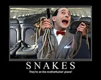 [Image - 4375] | Snakes on a Plane | Know Your Meme
