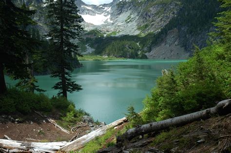 Download Mountain Wilderness Tree Scenic Washington Nature National