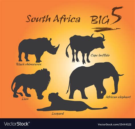 Big Five In Africa Royalty Free Vector Image Vectorstock