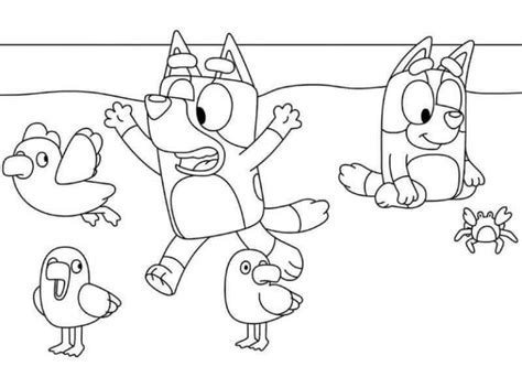 Bluey And Bingo Coloring Page