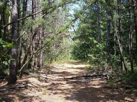 A Mike Who Likes to Hike