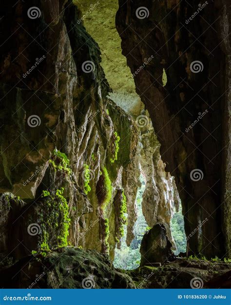 Cave In Niah National Park Stock Photo Image Of Asia 101836200
