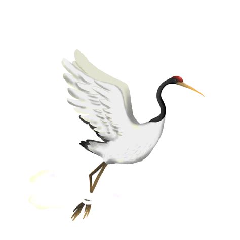 Red Crowned Crane Png Image Hand Painted Red Crowned Crane Elements