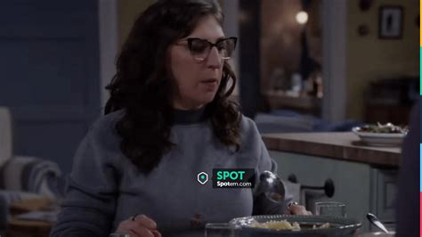 Tla Em­broi­dered Mock Neck Sweat­shirt Worn By Kat Mayim Bialik As