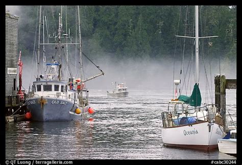 Picturephoto Yacht And Fishing Boat Tofino Vancouver Island