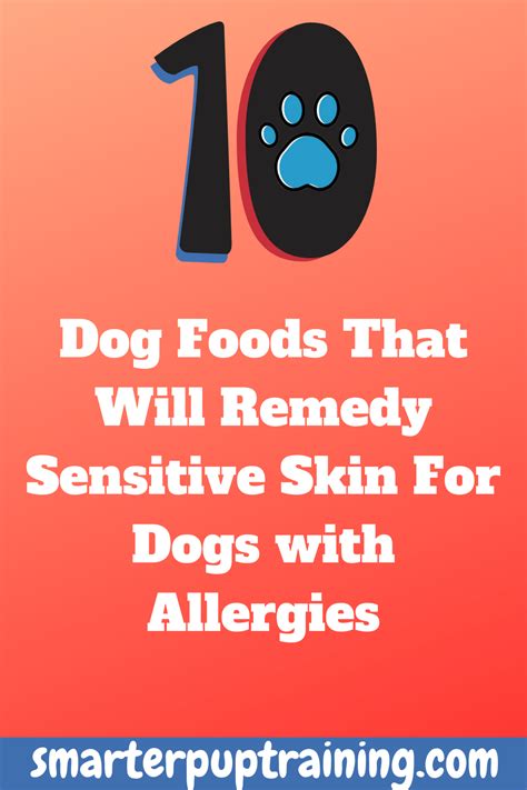 Best Dog Food For Skin Allergies 2020 Anderson Huynh