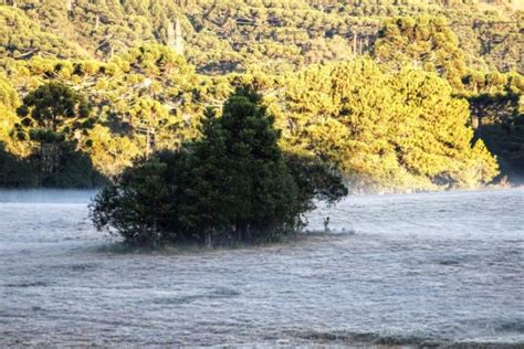 Foi dia mais frio do ano (até o momento) e a primeira geada de 2021. FRIO! Serra Catarinense registra geada e temperatura de -3 ...