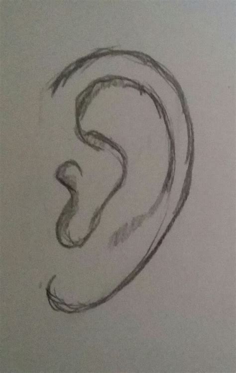Easy Ear Pencil Drawing Art Drawings Sketches Simple Art Drawings