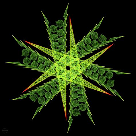 Stars Plant Leaves Fractals