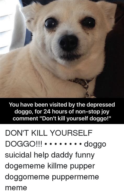 You Have Been Visited By The Depressed Doggo For 24 Hours Of Non Stop