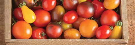 Come fare un buon sugo. COME FARE UN OTTIMO SUGO DI POMODORINI FRESCHI - Tacchi e ...