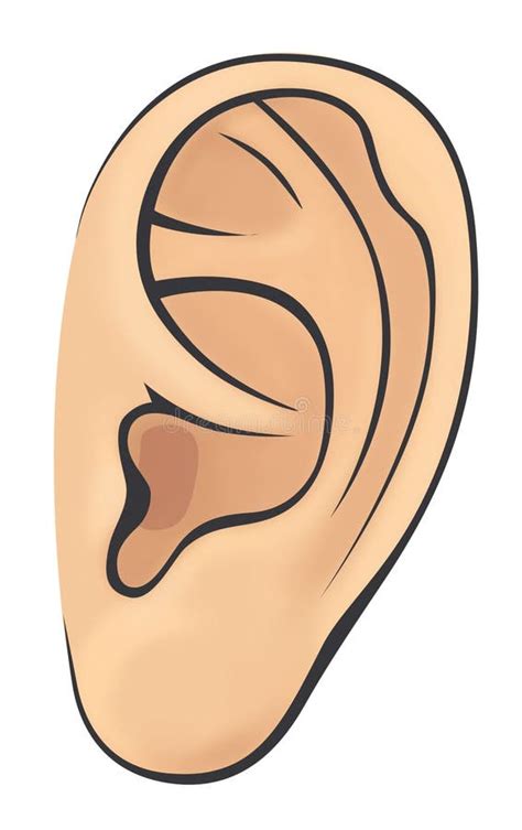 Left Ear Of Man Or Woman Illustration With Volume Elements Isolated