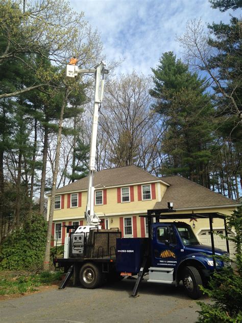 Tree Removal 2 Bucket Truck Tree Removal By Manning Tree Flickr