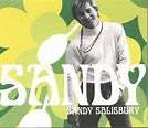 Sandy Salisbury - Sandy (2000, CD) | Discogs