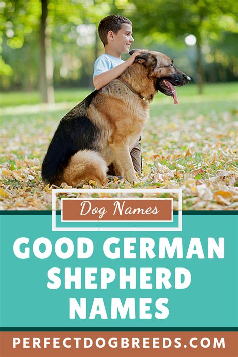 Good German Shepherd Names German Shepherd Names Dog Names Cute