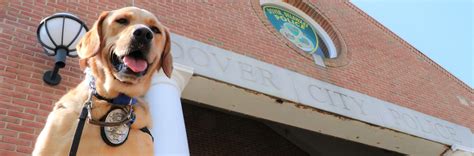 Roy the Facility Dog – City of Dover Police Department