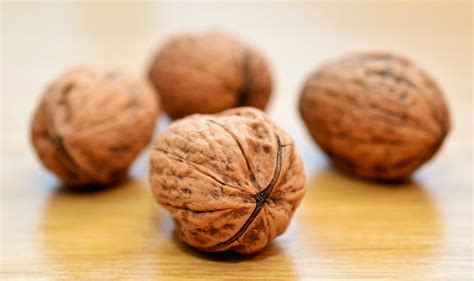 A su vez, favoreceremos que nuestro estado de. 5 alimentos que nos ayudan a mejorar la memoria - Wikiduca