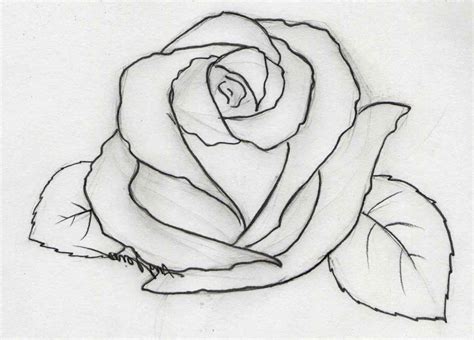 Pencil Drawing Rose Flowers Easy Flower Drawings In 