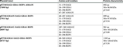 Plasmid Size Amino Acid Composition And Characteristics