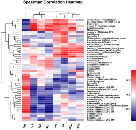 Heatmap Of The Correlation Analysis Between The Top Bacterial Genera Download Scientific