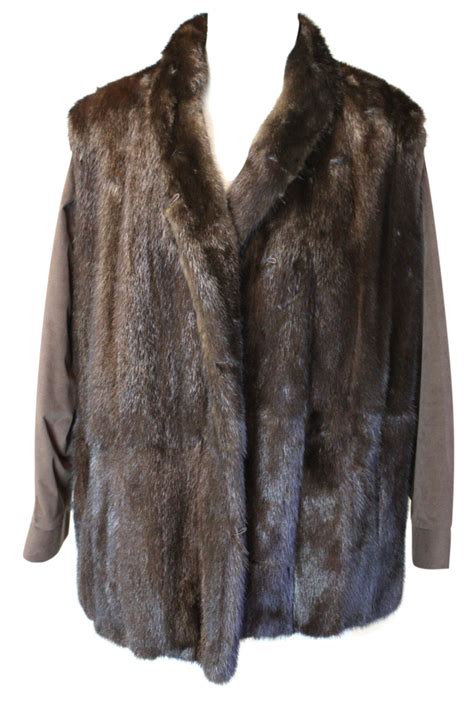 Fur Coat Png Transparent Image Download Size 677x1024px