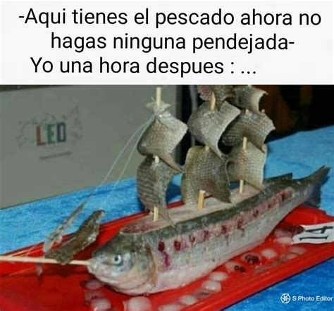 Top Memes De Pescado En Español Memedroid
