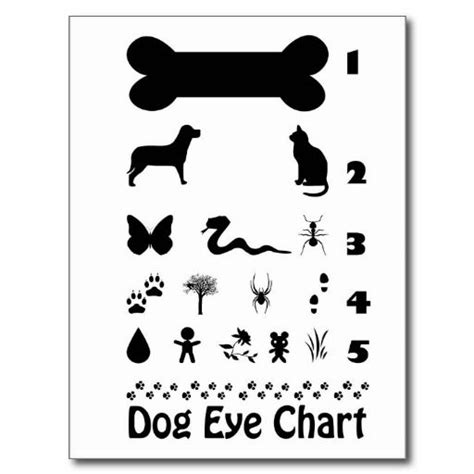 Dog Eye Chart Postcard Eye Chart Dog Eyes Dog Wall Art