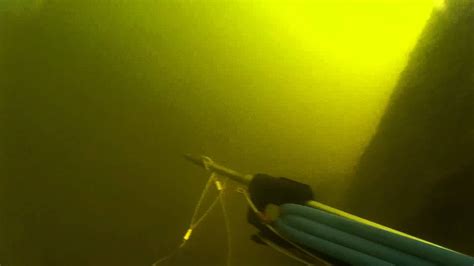 Spearfishing Lake Pontchartrain Youtube