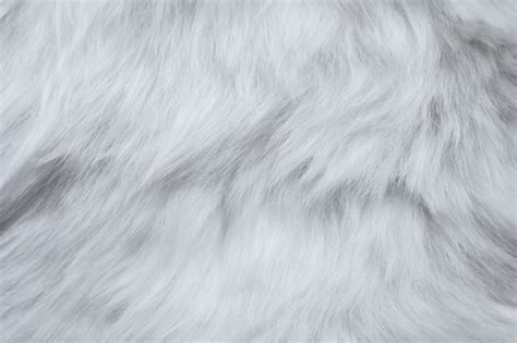 Premium Photo Closeup Of White Fur Texture