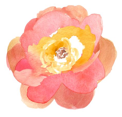 Download transparent pink watercolor png for free on pngkey.com. Clipart flowers watercolor, Clipart flowers watercolor ...