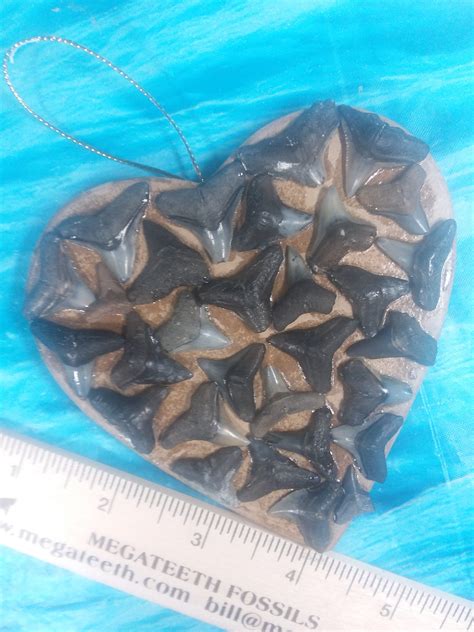 Shark Heart 31 Variety · L1 4 L2 4 · Megateeth