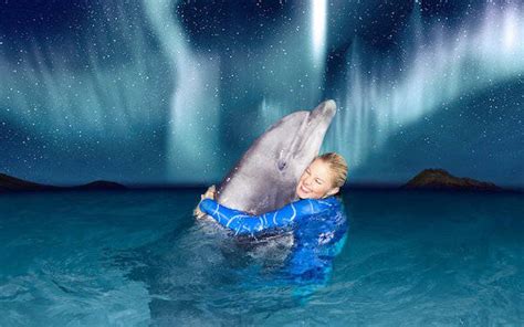 dolfinarium harderwijk korting fijnuit nl