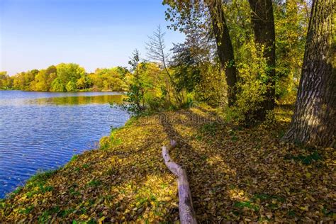 Autumn Landscape With Lake And Trees Stock Image Image Of Season