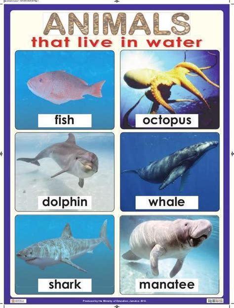 Animals That Live In Water By Ministry Of Education Bookfusion