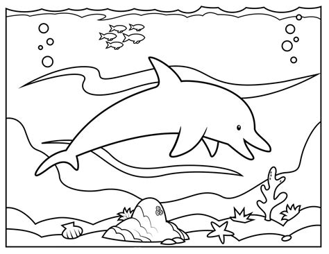 Free Printable Coloring Pages Dolphins