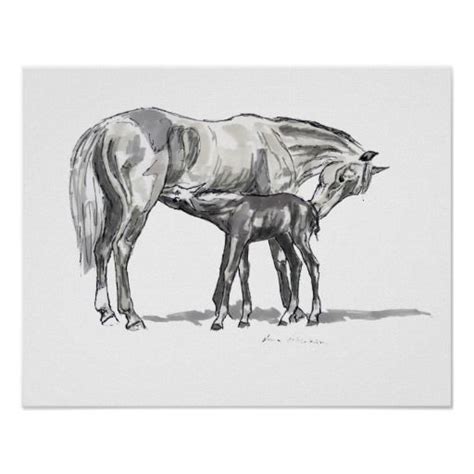 Mare And Foal Poster Zazzle Horse Drawings Horse Sketch Foals