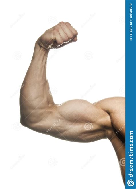 Principal 114 Images Biceps Interior Vn