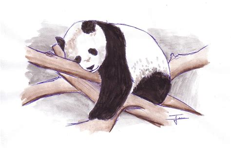 Dessins En Couleurs à Imprimer Panda Numéro 121526