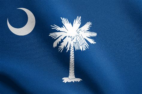 South Carolina Map History Population Facts Capitol Flag Tree