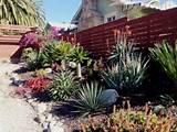 Images of Xeriscape Landscapers In San Diego
