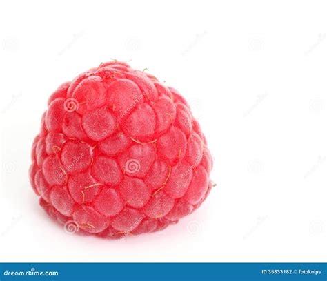 Single Raspberry Isolated Stock Photo Image Of Vitamins 35833182