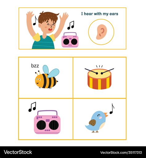 Five Senses Poster Hearing Sense Presentation Vector Image