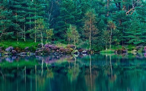 Nature Landscape Water Lake Forest Grass Hill Spring Reflection Green