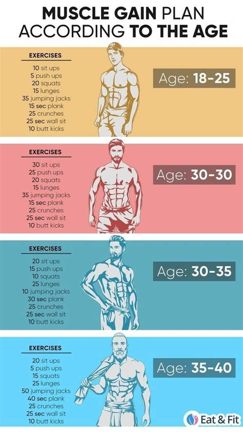 MUSCLE GAIN PLAN ACCORDING TO THE AGE Age EXERCISES Sit Ups Push Ups Squats