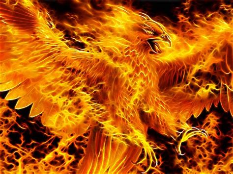 Fire Phoenix Wallpapers Top Free Fire Phoenix Backgrounds